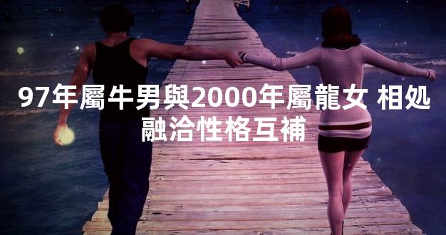 97年屬牛男與2000年屬龍女 相処融洽性格互補